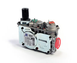K1006P002SI